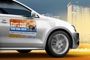 Car Magnets