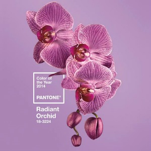 Radiant Orchid, Pantone Color of the Year 2014