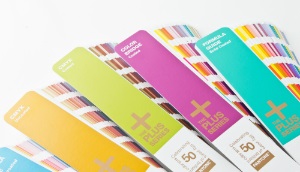 Pantone Color Swatches